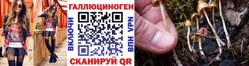 Купить закладки  Светлоград  Псилоцибиновые грибы мухоморы 